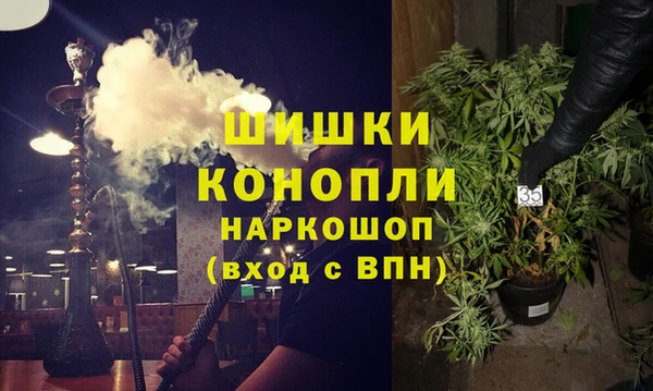 молекула духа Семилуки