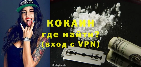 молекула духа Семилуки