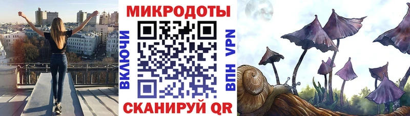 Псилоцибиновые грибы Cubensis  закладки  Советск 